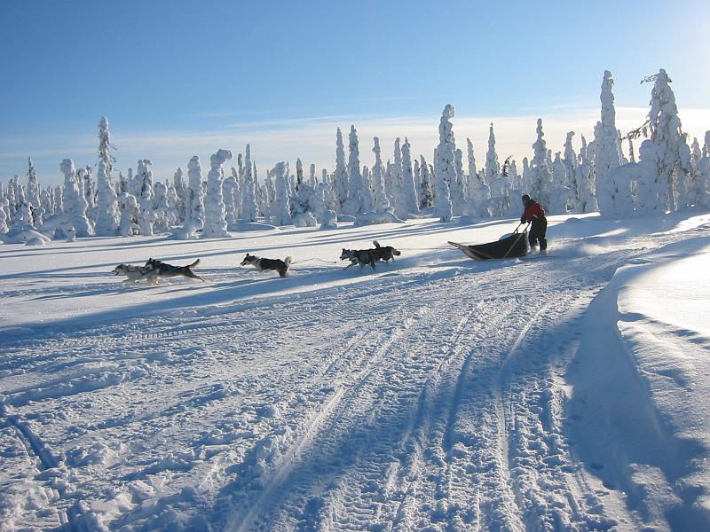 011Matkalla Sallaan.jpg